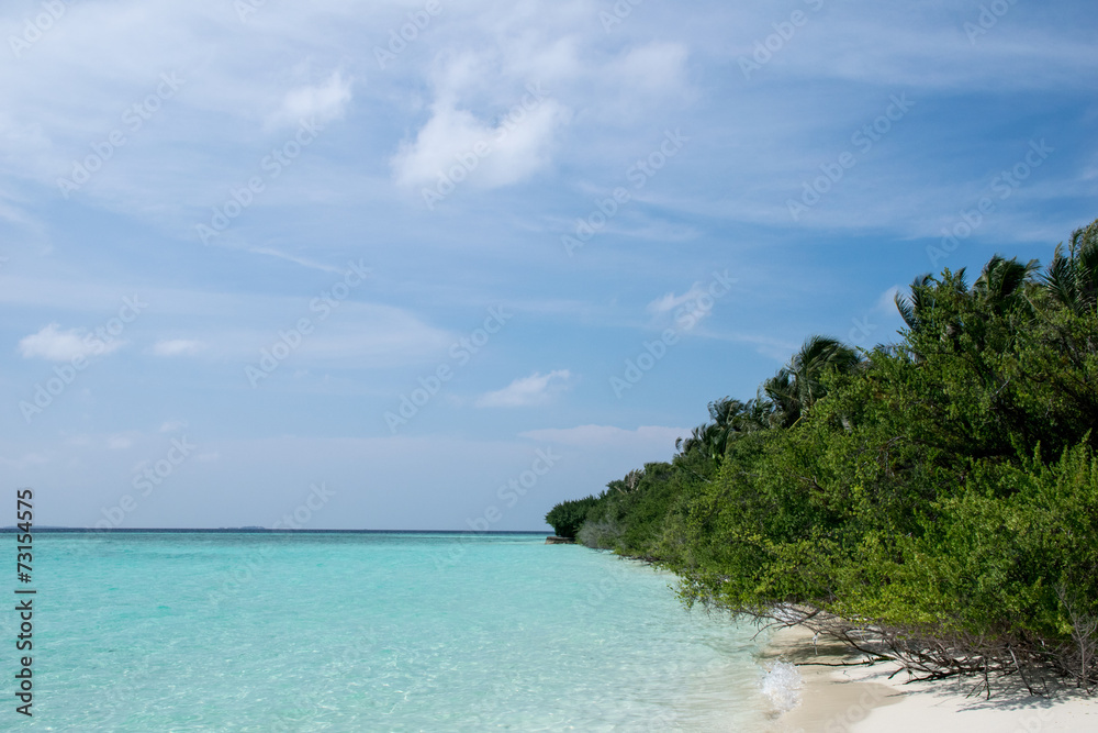 Palmen, Strand und Meer