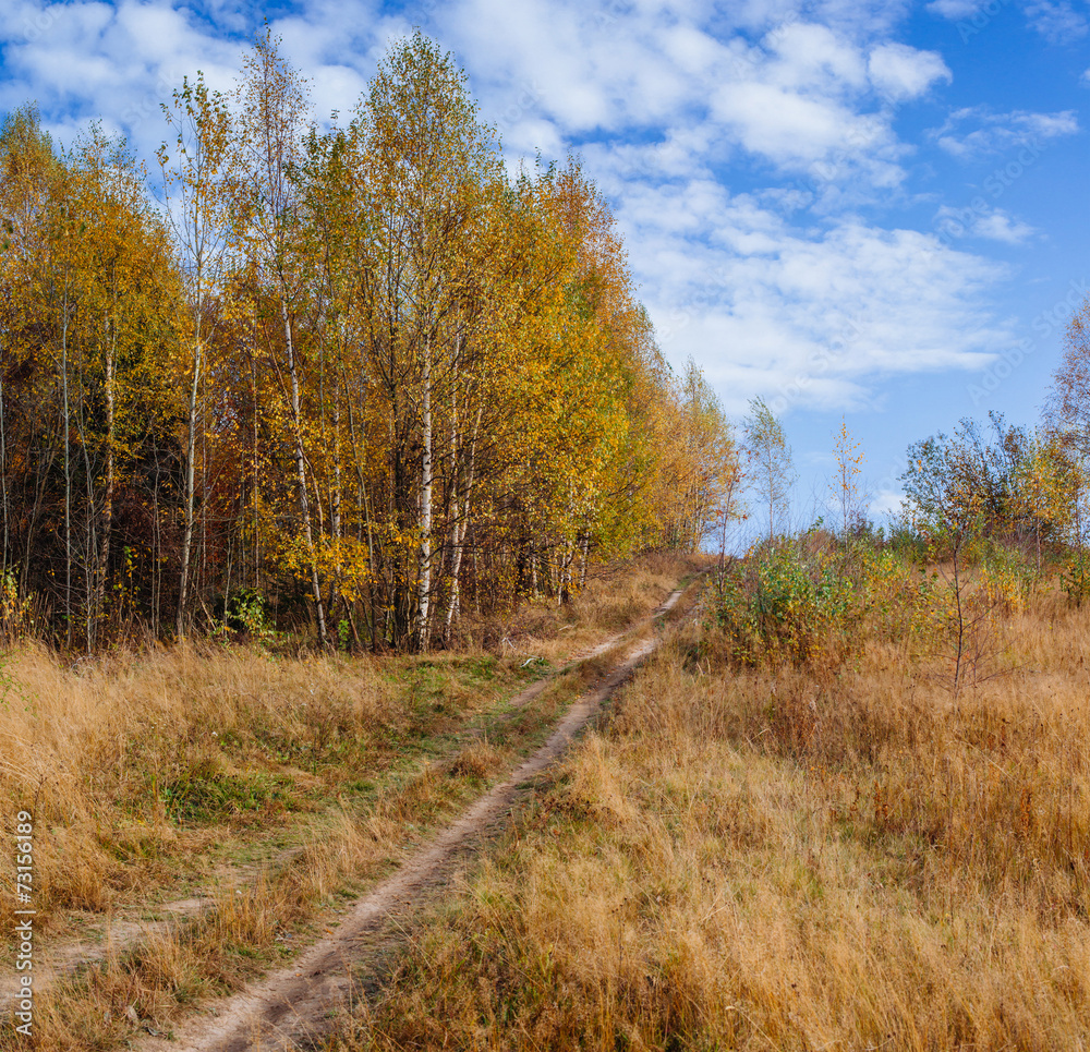 autumn meadows