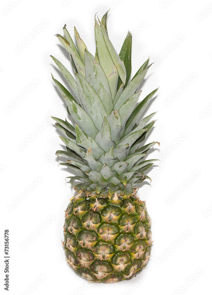 pineaple pineaple