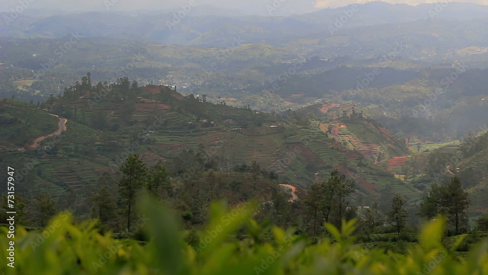 Asian landscapes. Tea plantations, mountainous terrain. Asian landscapes. Tea plantations, mountainous terrain.