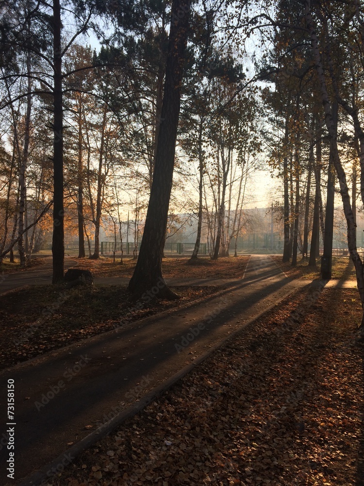 Obraz premium running