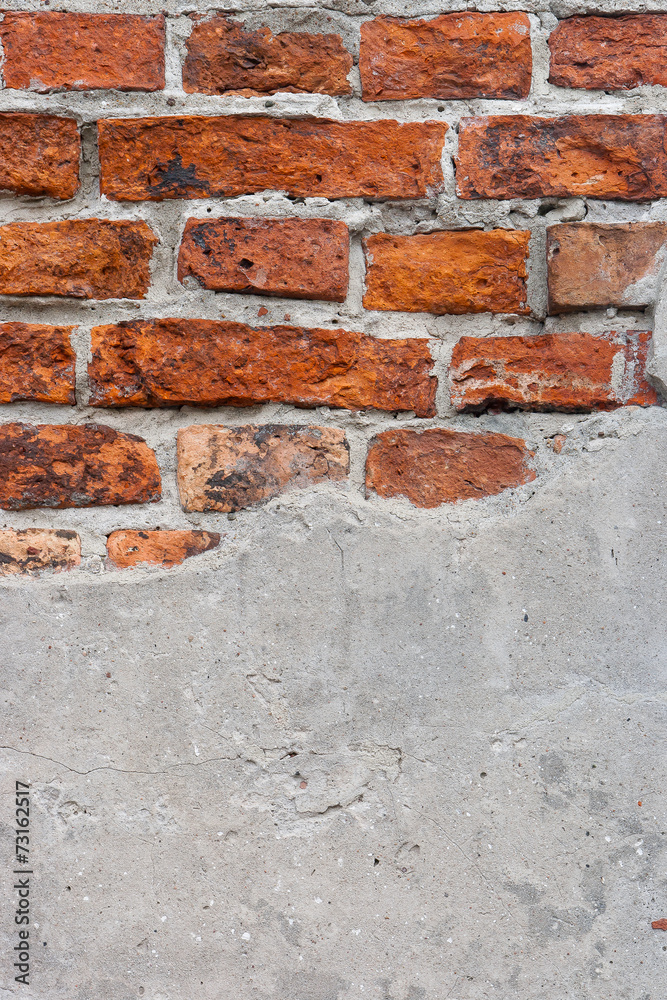 Fototapeta premium Brick wall