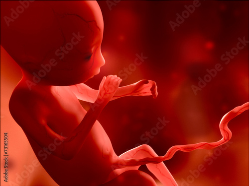 Fetus, 4 months Fototapet