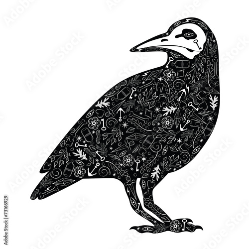 Black crow