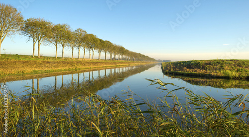 Canal in a rural landscape under a clear sky at fall