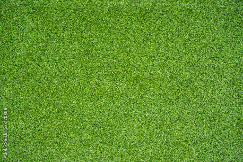 green grass green grass