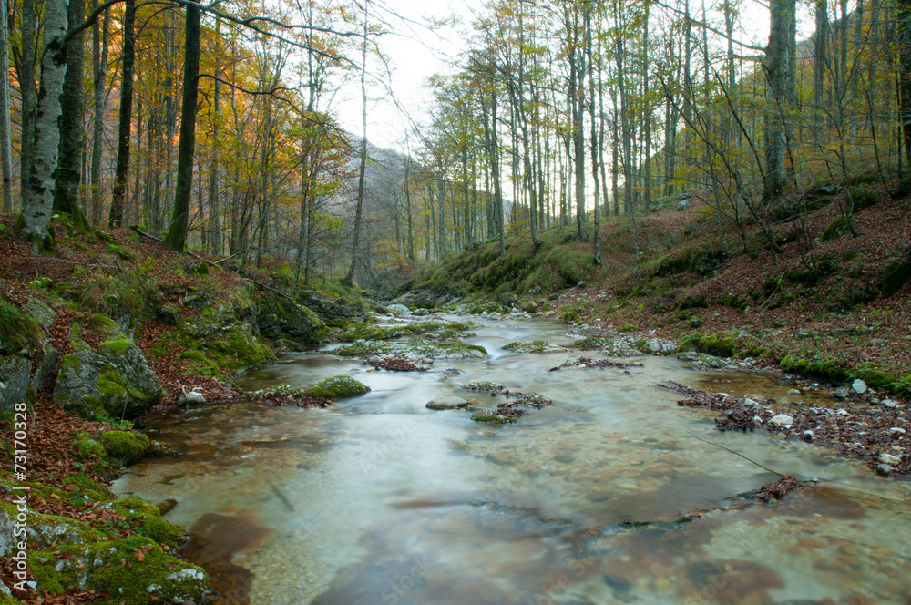 Torrente Torrente