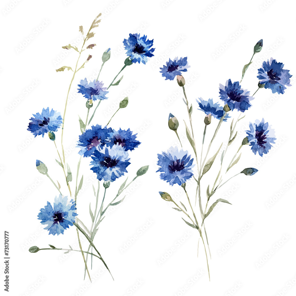 Naklejka premium Blue flowers 8