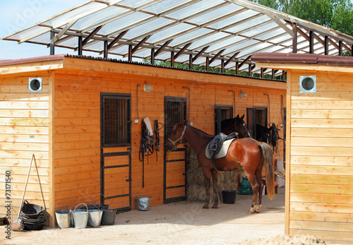 Foto Horses at the stable of Riding Center