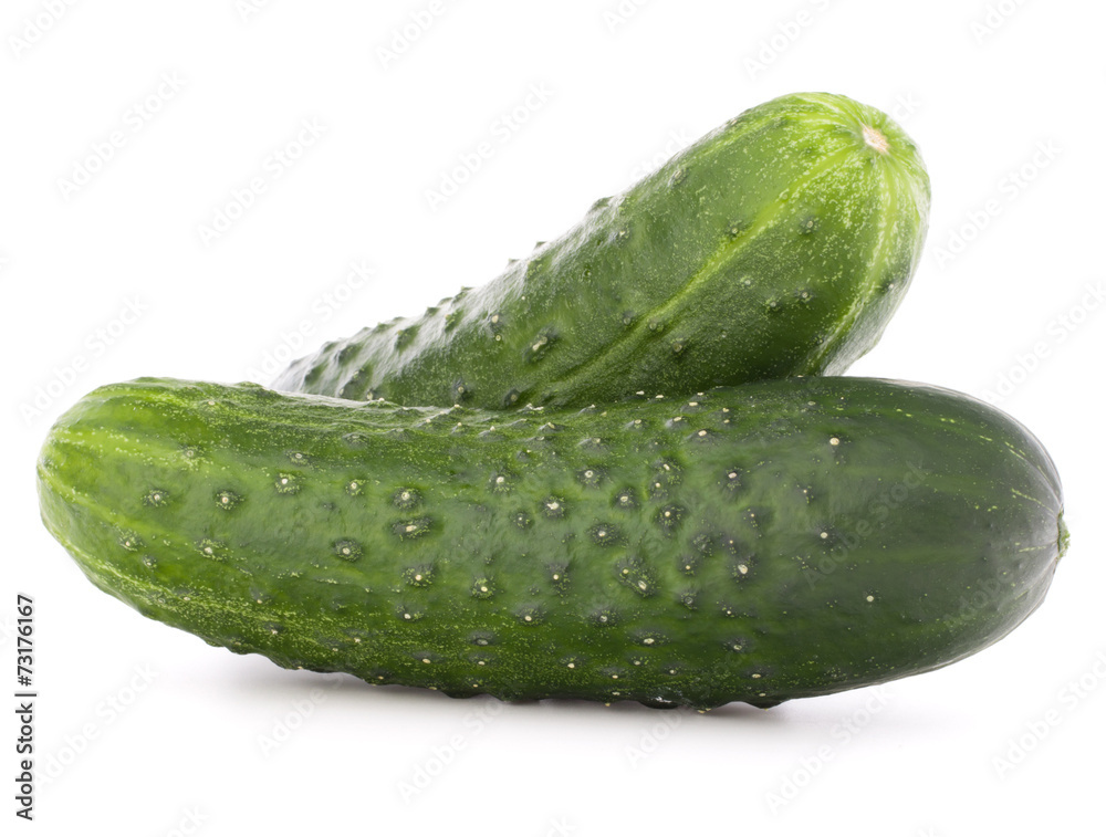 Cucumber vegetable isolated on white background cutout Cucumber vegetable isolated on white background cutout