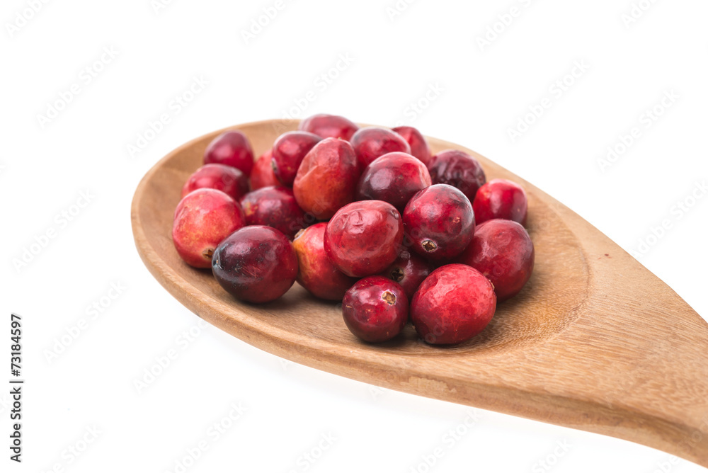 Cranberry Cranberry