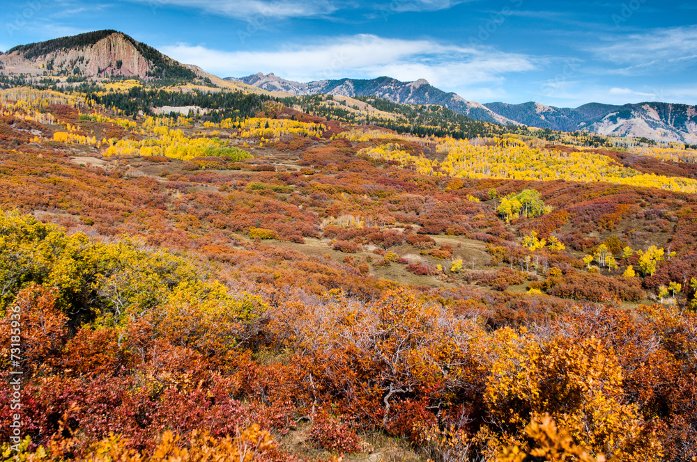 Mountain autumn,colorado 