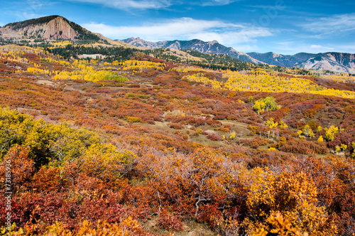 Mountain autumn,colorado 