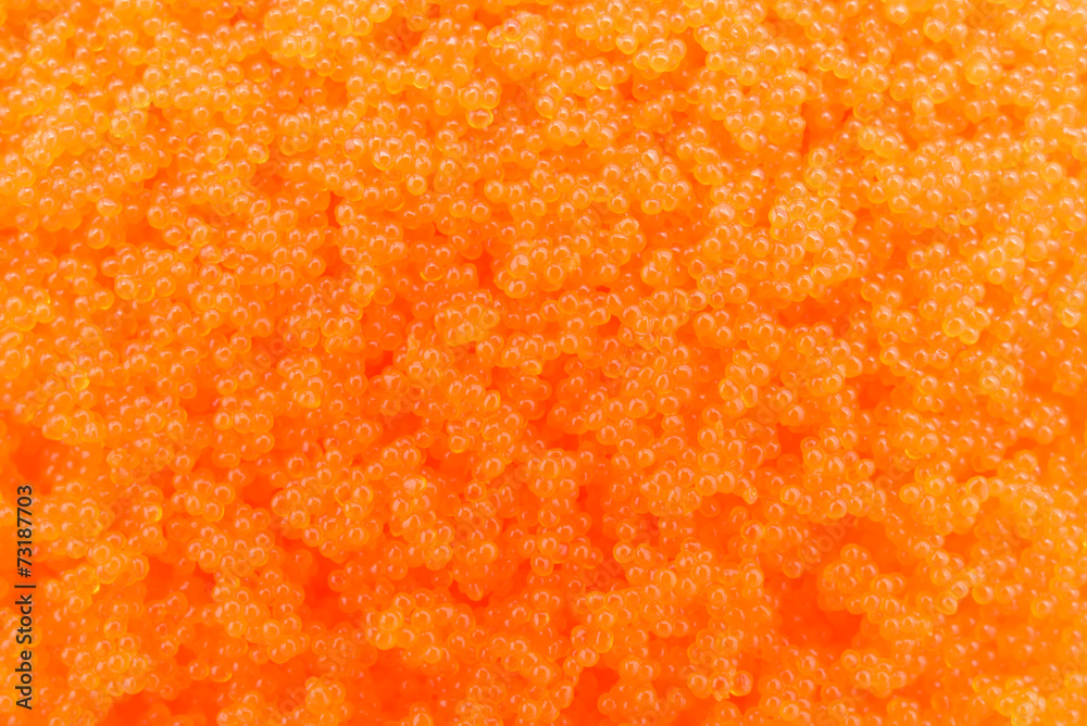 Egg shrimp background Egg shrimp background
