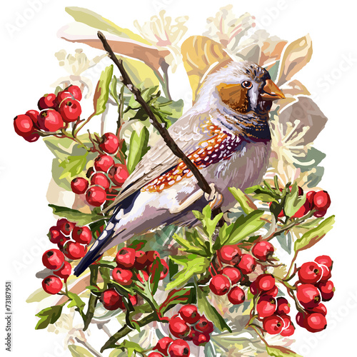 colorful bird, flower and rowan