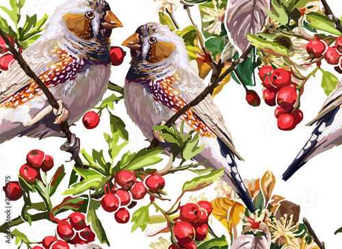 colorful bird, flower and rowan
