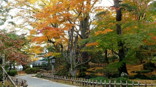 Wallpaper Mural KANAZAWA JAPAN Torontodigital.ca