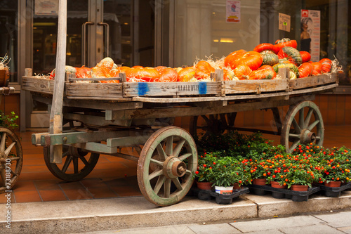 View of Pumpkins on vintage wooden cart