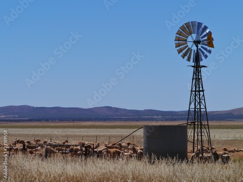 A wind mill for water and sheep in the desert of Australia