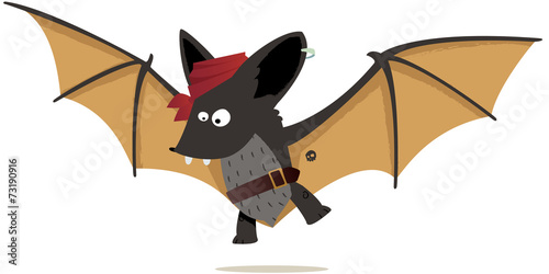 chauve souris pirate