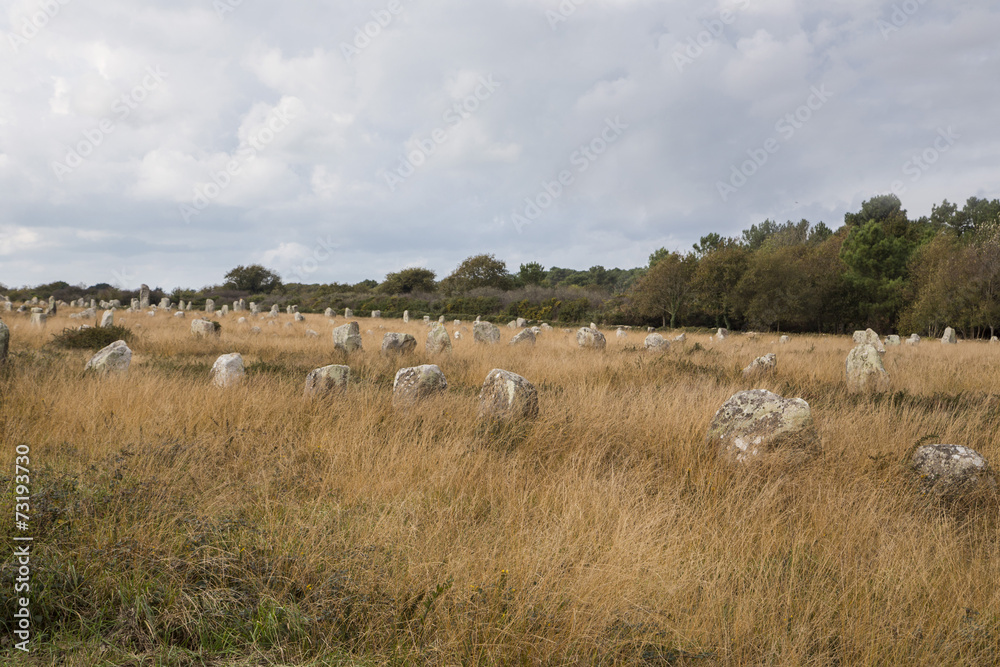 Intriguing standing stones at Carnac in Brittany, France Intriguing standing stones at Carnac in Brittany, France