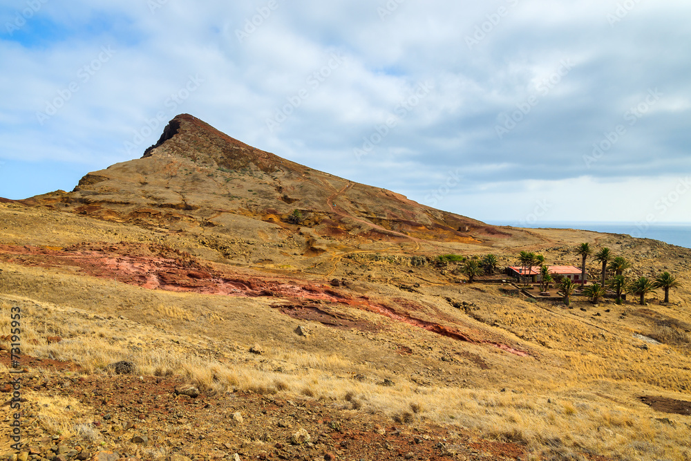 Oasis with palm trees in desert landscape of Madeira island