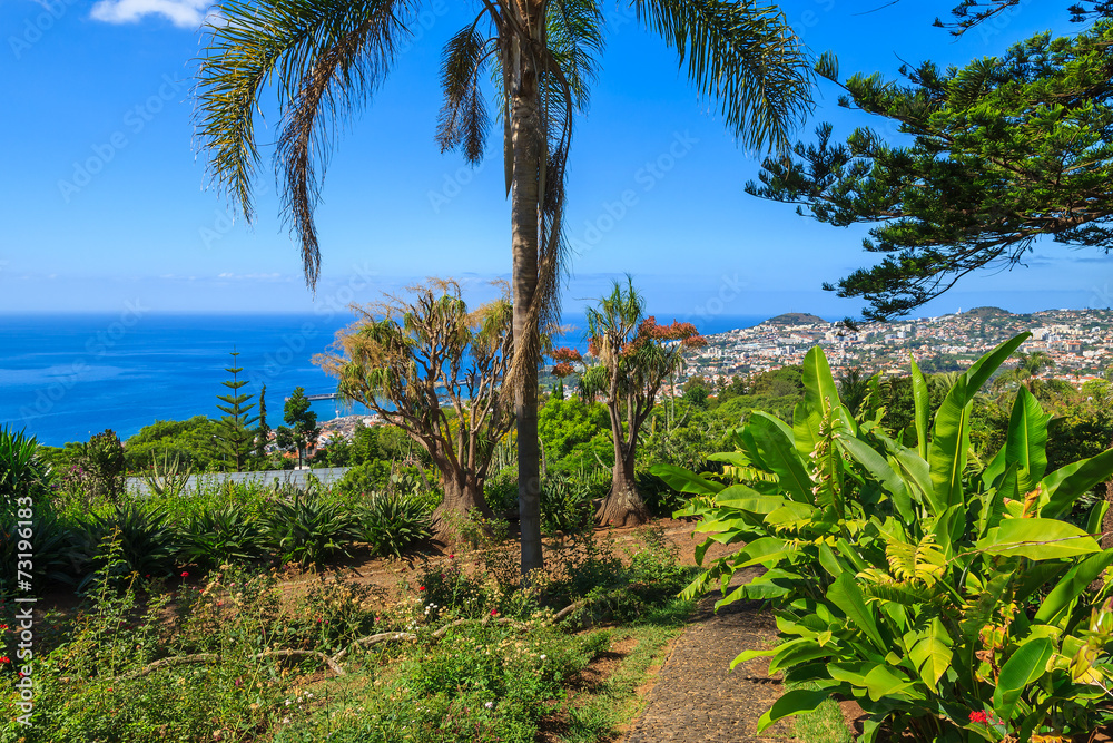 Fototapeta premium Famous tropical botanical gardens, Funchal town, Madeira island