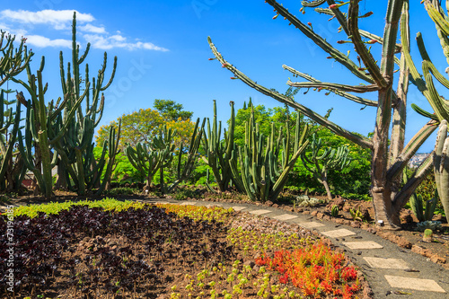 Famous tropical botanical gardens, Funchal town, Madeira island © pkazmierczak