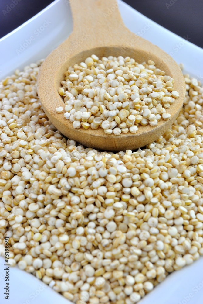 Quinoa - Chenopodium quinoa Quinoa - Chenopodium quinoa