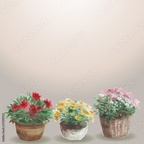 Fototapeta Naklejka Na Ścianę i Meble -  Yellow, pink, red flower in a flower pot,  beige background. Wat