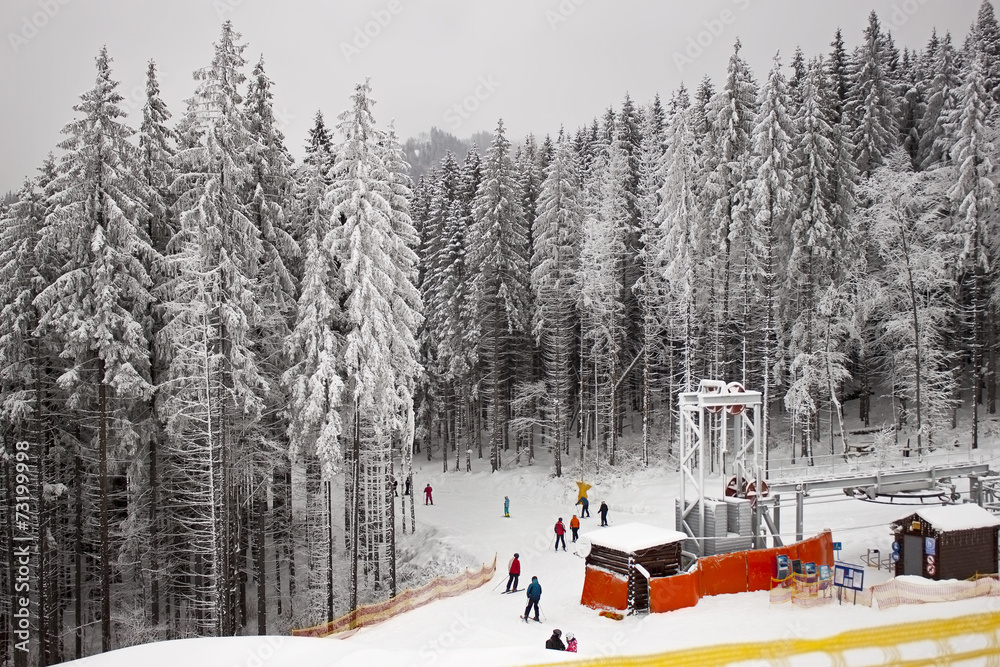 ski slope in the winter forest ski slope in the winter forest