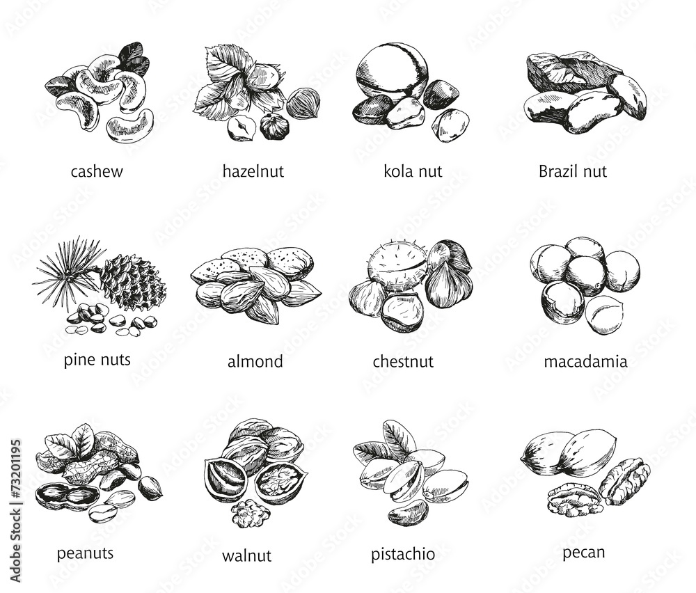 twelve kinds of nuts twelve kinds of nuts