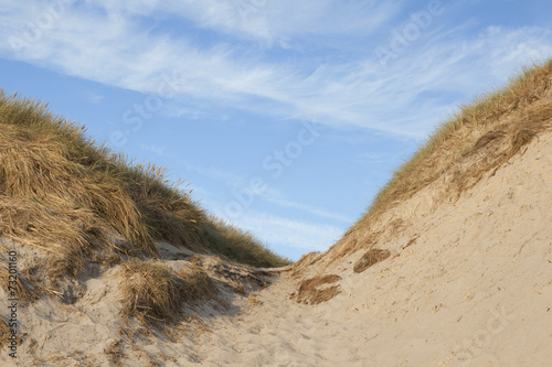 dunes in Denmark