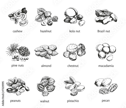 twelve kinds of nuts