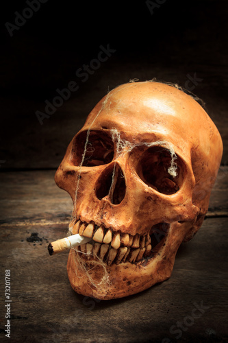 Skull with cigarette, still life.