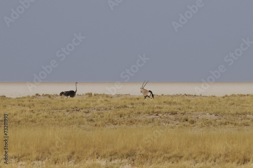 Blick in die Etoscha-Pfanne, Namibia, Afrika
