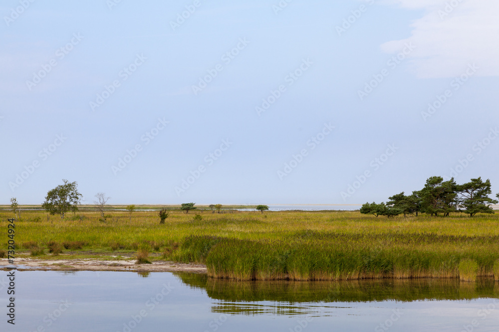 Bodstedter Bodden