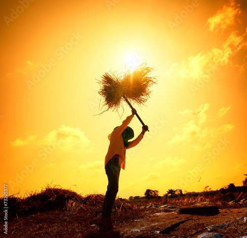 Foto Farmers silhouettes at sunset. Rice grain threshing during harve