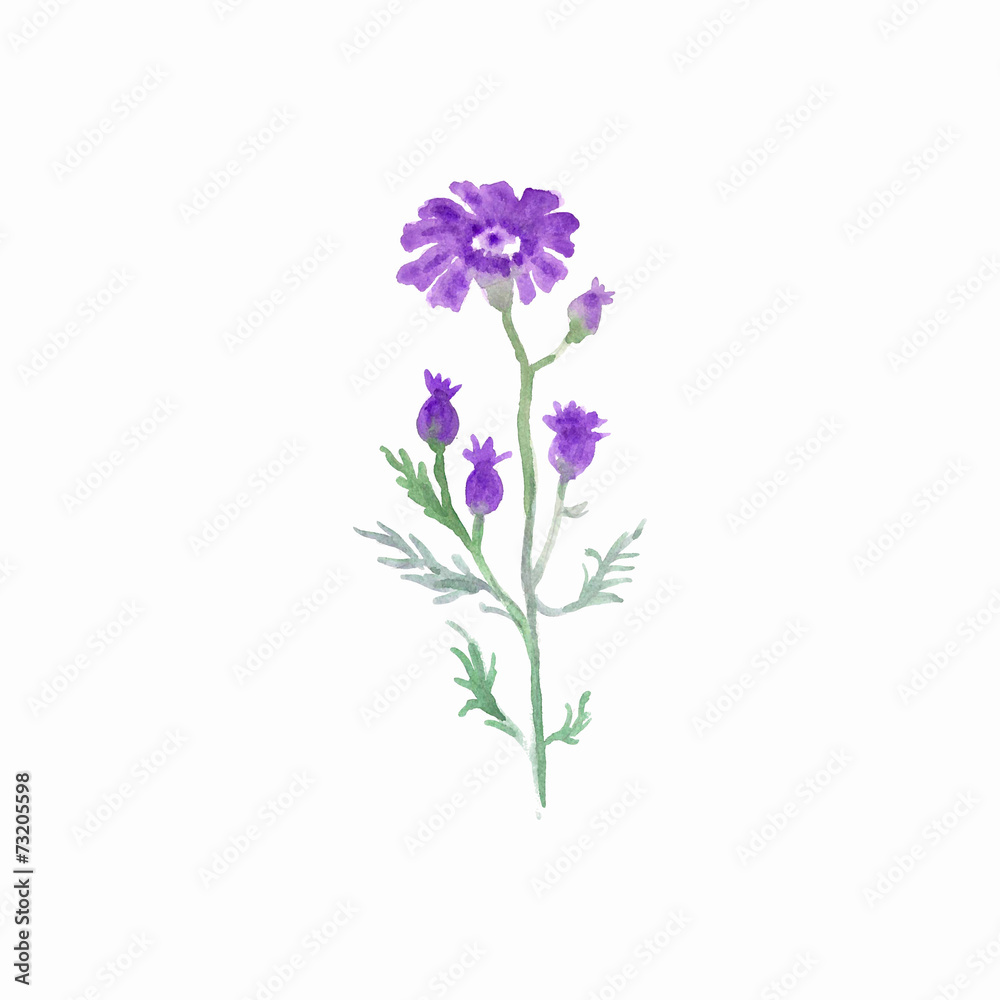 Beautiful watercolor flower Beautiful watercolor flower