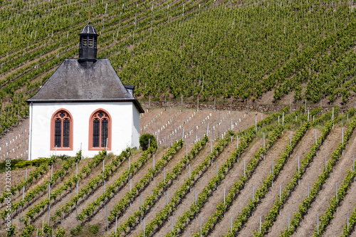 Kapelle in den Weinbergen bei Kröv photo