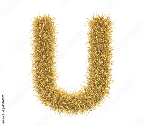Letter of hay isolated on white background photo