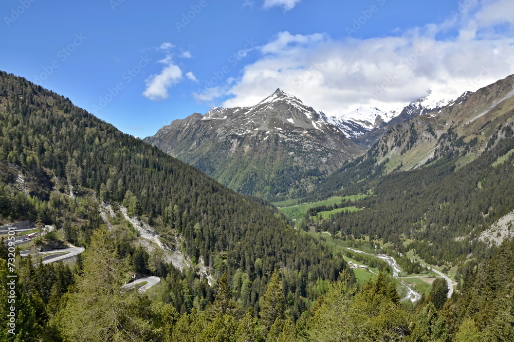 Swiss Alps-view from Malojapass