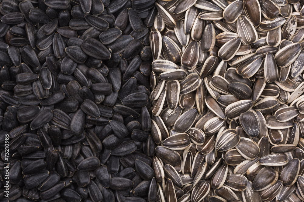Black and white sunflower seeds as background Black and white sunflower seeds as background