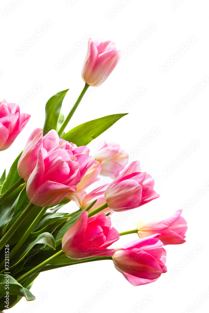 bouquet di tulipani