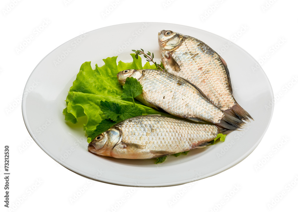 Crucian fish Crucian fish