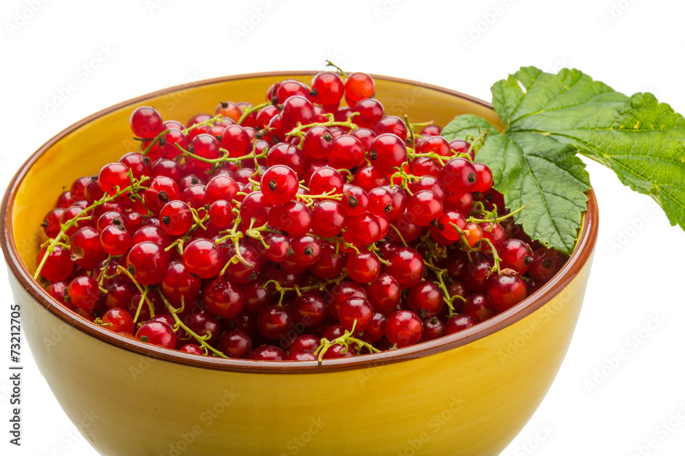 Red currant Red currant