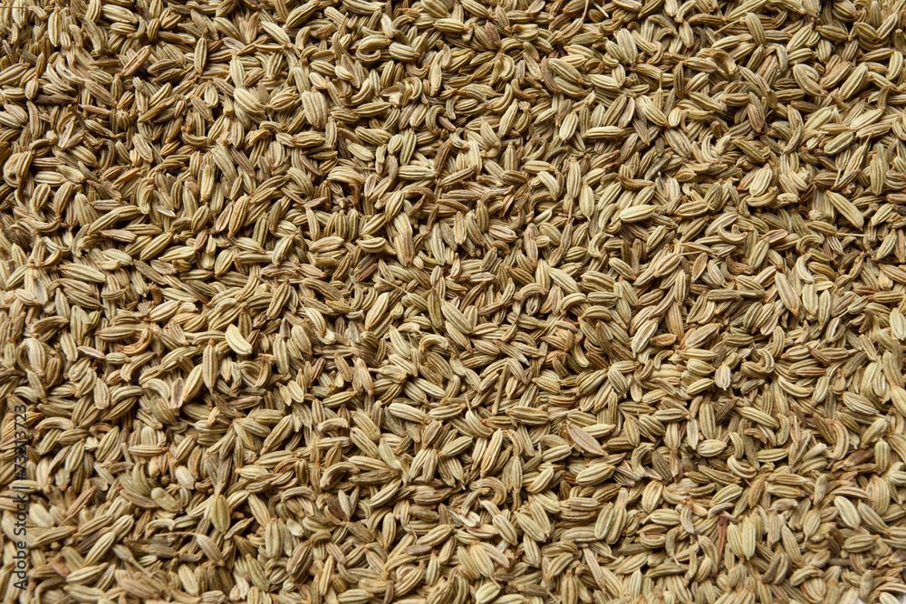 fennel seeds texture