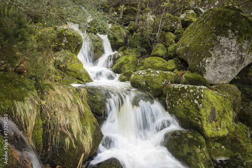 Fototapeta Naklejka Na Ścianę i Meble -  a stream in the mountain