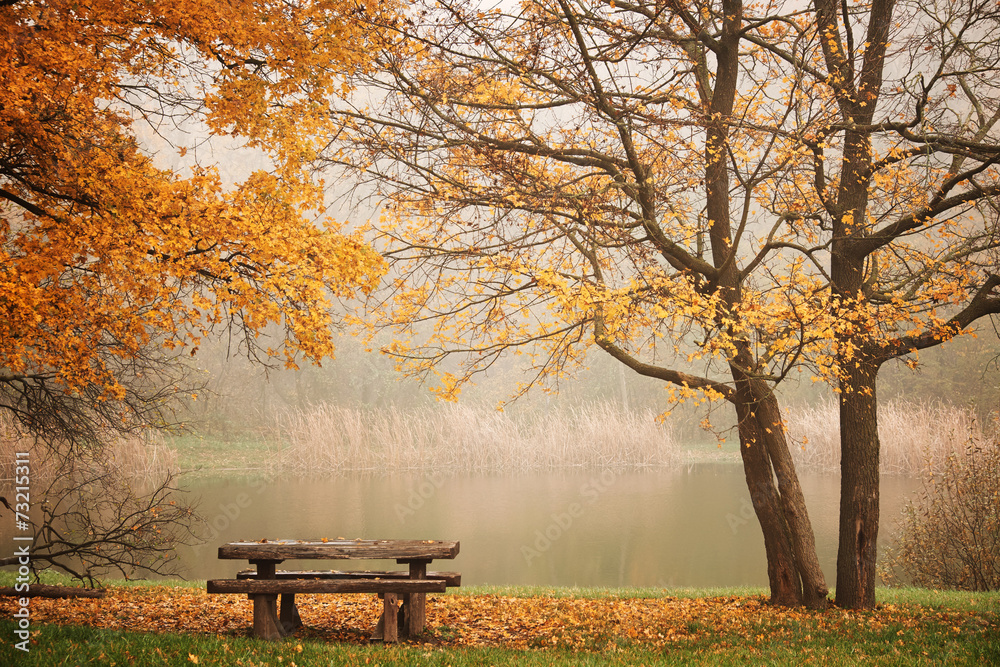 Fototapeta premium Bench autum park and lake