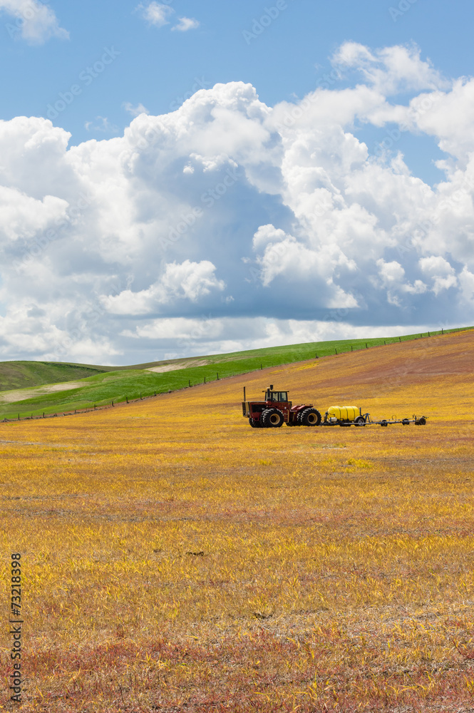 Fototapeta premium Harvested wheat field with tractor